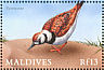 Ruddy Turnstone Arenaria interpres  2000 Birds of the tropics Sheet