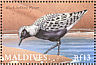 Grey Plover Pluvialis squatarola  2000 Birds of the tropics Sheet