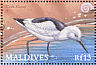 Crab-plover Dromas ardeola  2000 Birds of the tropics Sheet