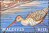 Eurasian Curlew Numenius arquata  2000 Birds of the tropics Sheet