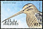 Swinhoe's Snipe Gallinago megala  2002 Birds of the Maldives 