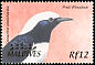 Pied Wheatear Oenanthe pleschanka  2002 Birds of the Maldives 