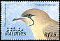 Oriental Pratincole Glareola maldivarum