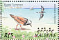 Ruddy Turnstone Arenaria interpres  2002 Birds of the Maldives Sheet