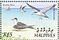 Sooty Tern Onychoprion fuscatus  2002 Birds of the Maldives Sheet