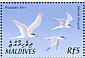 Roseate Tern Sterna dougallii  2002 Birds of the Maldives Sheet