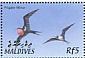 Great Frigatebird Fregata minor  2002 Birds of the Maldives Sheet