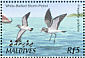 White-bellied Storm Petrel Fregetta grallaria  2002 Birds of the Maldives Sheet