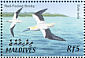 Red-footed Booby Sula sula  2002 Birds of the Maldives Sheet