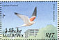 Lesser Kestrel Falco naumanni  2002 Birds of the Maldives Sheet