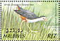 White-breasted Waterhen Amaurornis phoenicurus  2002 Birds of the Maldives Sheet