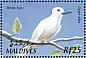 White Tern Gygis alba  2002 Birds of the Maldives  MS
