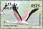Greater Flamingo Phoenicopterus roseus  2002 Birds of the Maldives  MS MS