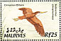 Cinnamon Bittern Ixobrychus cinnamomeus  2002 Birds of the Maldives  MS MS MS