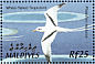 White-tailed Tropicbird Phaethon lepturus  2002 Birds of the Maldives  MS MS MS MS