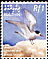 Common Tern Sterna hirundo  2002 Fish and bird definitives 14v set