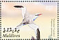 Red-billed Tropicbird Phaethon aethereus  2003 Birds in Maldives Sheet