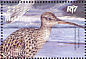 Eurasian Curlew Numenius arquata  2003 Birds in Maldives Sheet