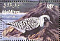 Grey Plover Pluvialis squatarola  2003 Birds in Maldives Sheet