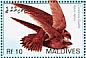Common Swift Apus apus  2007 Birds Sheet