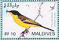 Western Yellow Wagtail Motacilla flava  2007 Birds Sheet