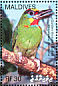 Red-throated Barbet Psilopogon mystacophanos  2007 Birds  MS