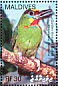 Red-throated Barbet Psilopogon mystacophanos