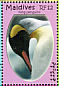 King Penguin Aptenodytes patagonicus  2007 Polar year Sheet