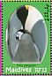 King Penguin Aptenodytes patagonicus  2007 Polar year Sheet