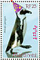 African Penguin Spheniscus demersus  2007 Polar year  MS