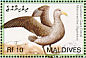 Southern Giant Petrel Macronectes giganteus  2007 Birds Sheet