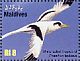 White-tailed Tropicbird Phaethon lepturus  2010 Birds Sheet