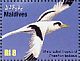 White-tailed Tropicbird Phaethon lepturus