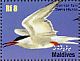 Common Tern Sterna hirundo  2010 Birds Sheet