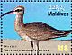 Hudsonian Whimbrel Numenius hudsonicus  2010 Birds Sheet