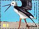 Black-winged Stilt Himantopus himantopus  2010 Birds Sheet