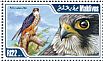 Eurasian Hobby Falco subbuteo  2013 Birds of prey Sheet