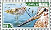 Pin-tailed Snipe Gallinago stenura  2013 Waterbirds Sheet