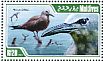 Brown Noddy Anous stolidus  2013 Waterbirds Sheet