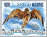 Lesser Kestrel Falco naumanni  2014 Birds of prey  MS
