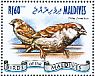 House Sparrow Passer domesticus  2014 Songbirds  MS