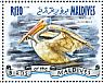 Great White Pelican Pelecanus onocrotalus  2014 Pelicans Sheet