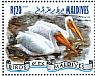 Great White Pelican Pelecanus onocrotalus  2014 Pelicans Sheet