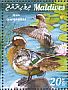 Garganey Spatula querquedula  2015 Ducks Sheet