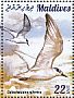 Gull-billed Tern Gelochelidon nilotica  2015 Terns Sheet