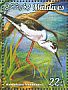 Black-winged Stilt Himantopus himantopus  2015 Wading birds Sheet