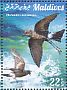 Wilson's Storm Petrel Oceanites oceanicus