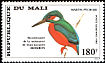 Common Kingfisher Alcedo atthis  1985 Audubon 