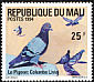 Rock Dove Columba livia  1994 Birds 