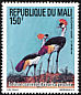 Grey Crowned Crane Balearica regulorum  1994 Birds 